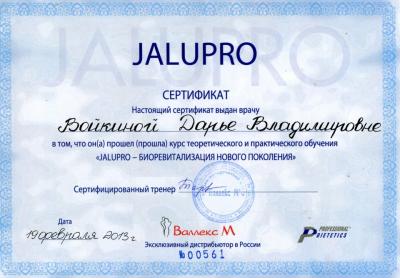 Сертификаты Войкина Дарья Владимировна 4