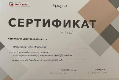 Сертификаты Морозкина Алёна Алексеевна 2
