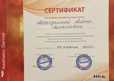 Сертификаты Морозкина Алёна Алексеевна 6
