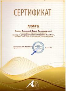 Сертификаты Войкина Дарья Владимировна 12
