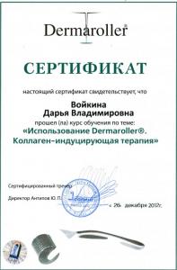 Сертификаты Войкина Дарья Владимировна 21