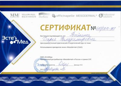 Сертификаты Войкина Дарья Владимировна 31